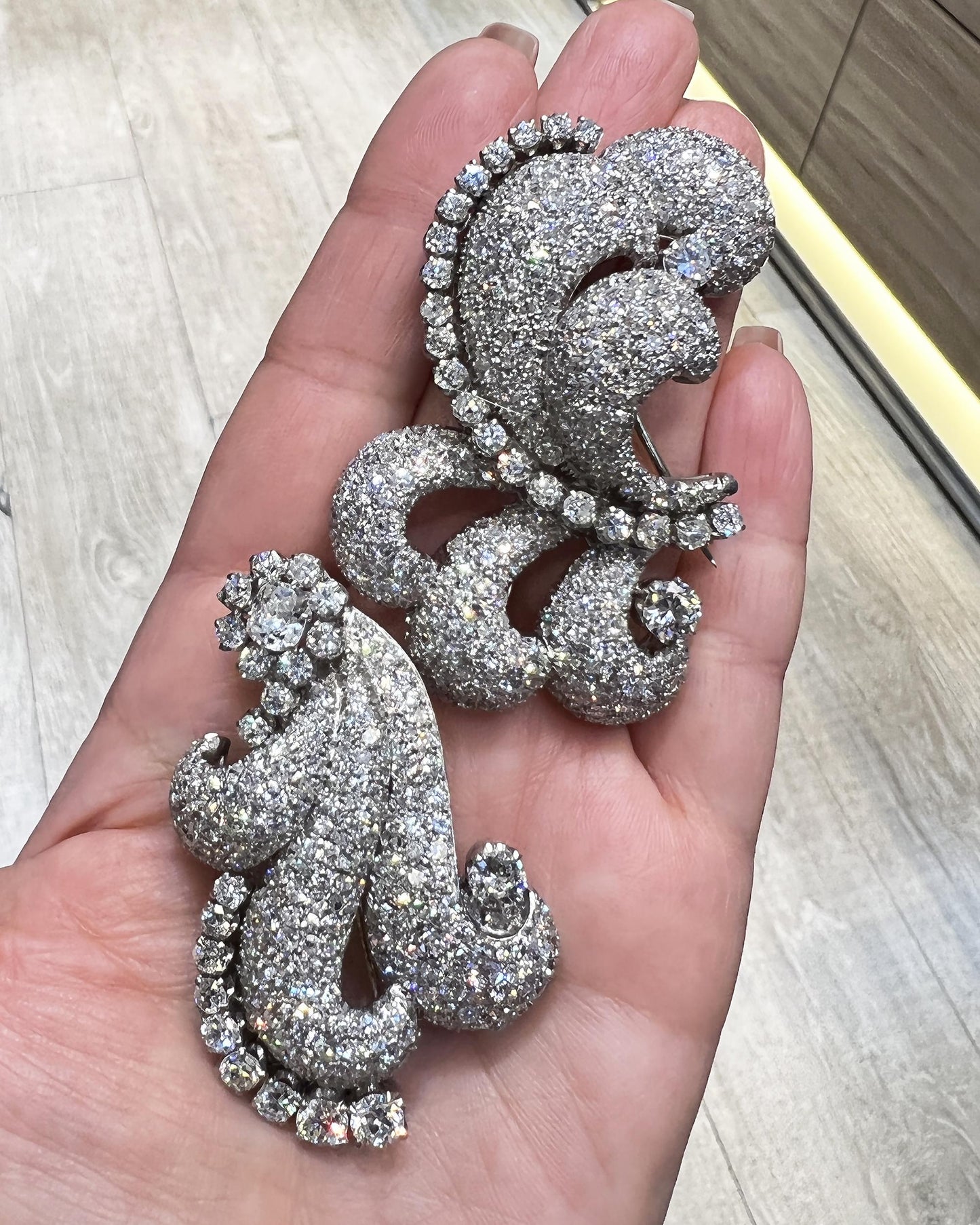 Platinum Diamond Duo - Set of 2 Exquisite Brooches