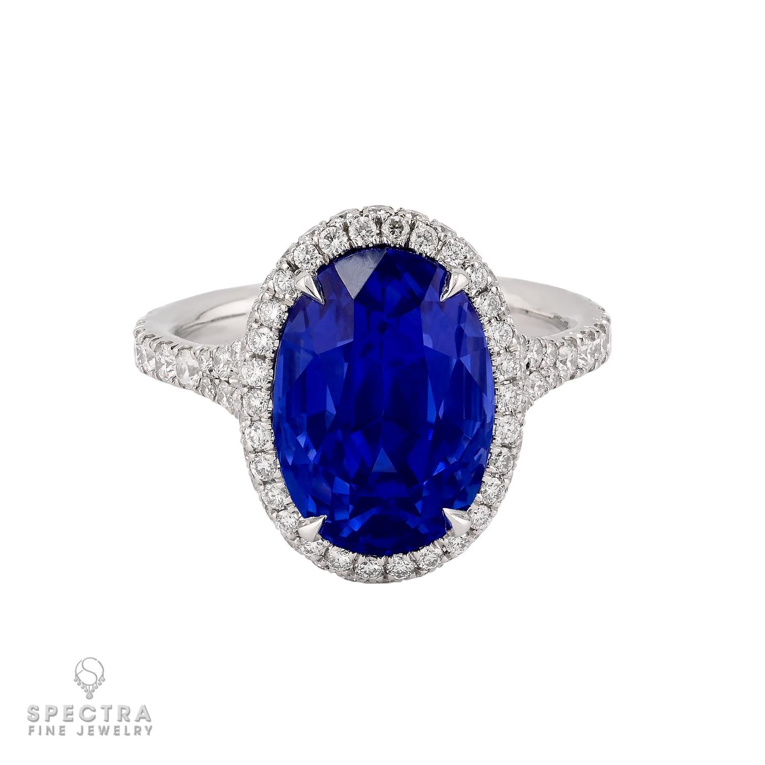 Spectra 8.0 ct. Ceylon Royal Blue Sapphire Ring