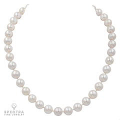Timeless Elegance: Discover the 39 Pearl Necklace